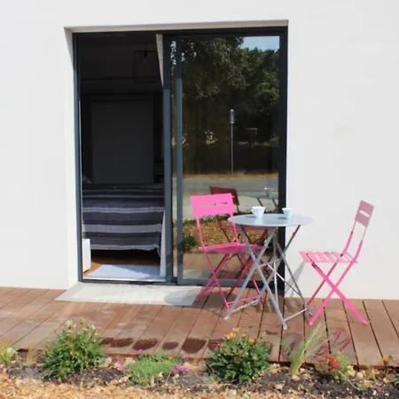 Chambre, Et Foret Homestay